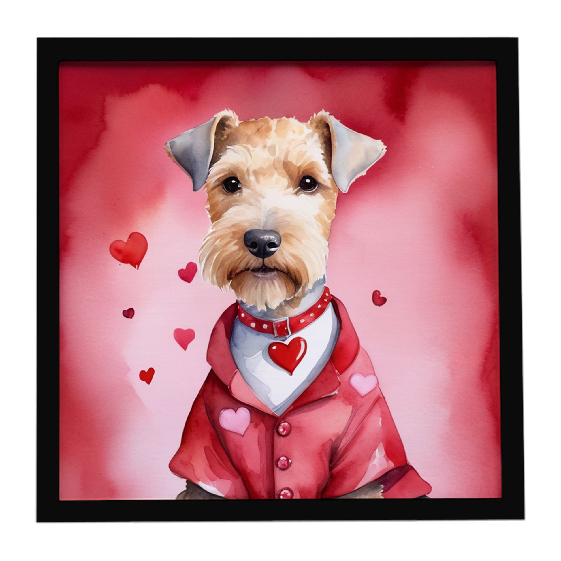 Buy this Lakeland Terrier My Valentine Framed Metal Print