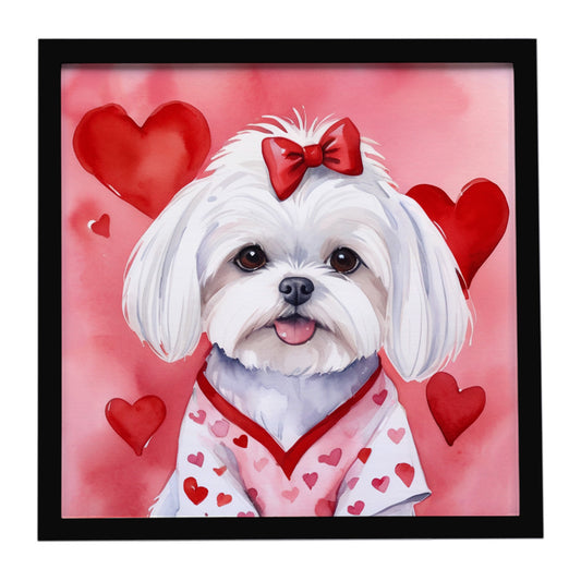 Buy this Maltese My Valentine Framed Metal Print
