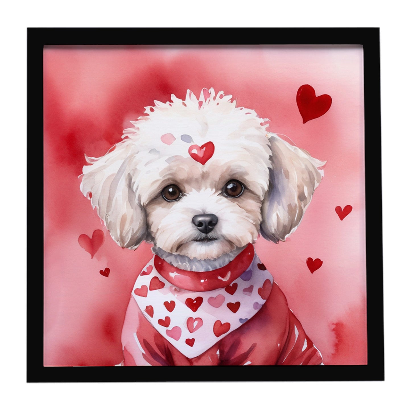 Buy this Maltipoo My Valentine Framed Metal Print