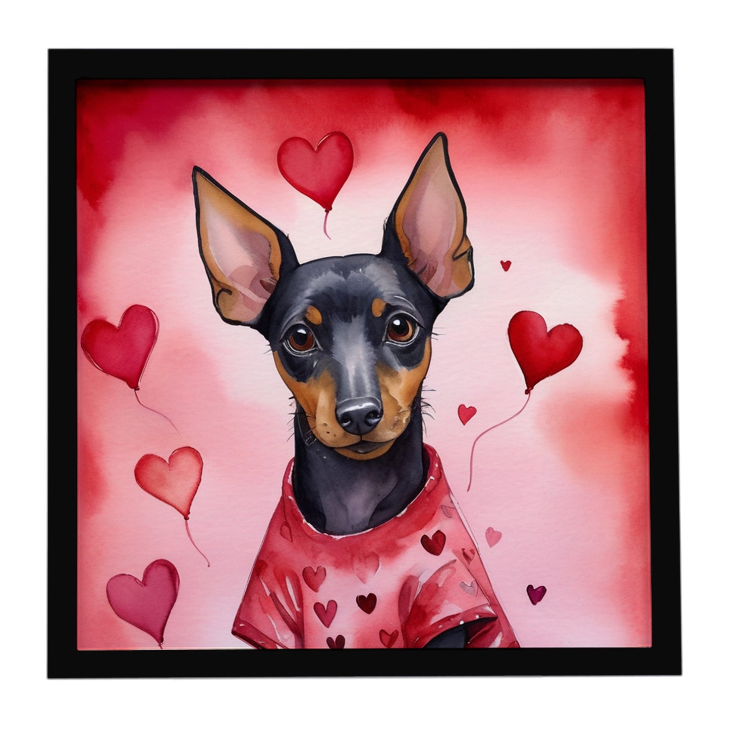 Buy this Manchester Terrier My Valentine Framed Metal Print