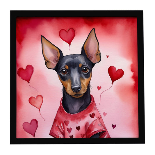 Buy this Manchester Terrier My Valentine Framed Metal Print