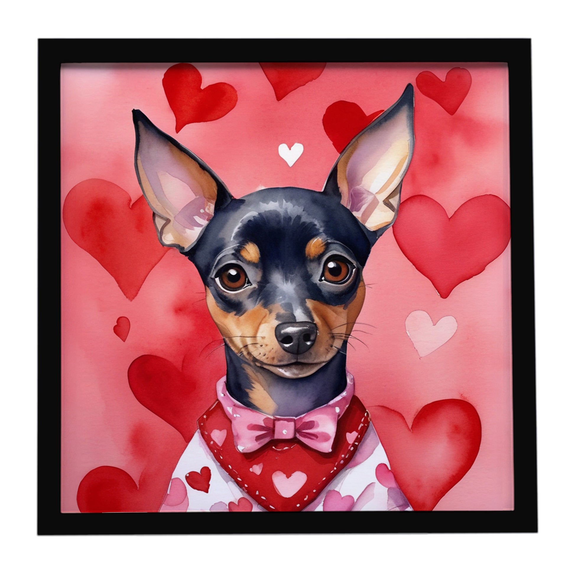 Buy this Miniature Pinscher My Valentine Framed Metal Print
