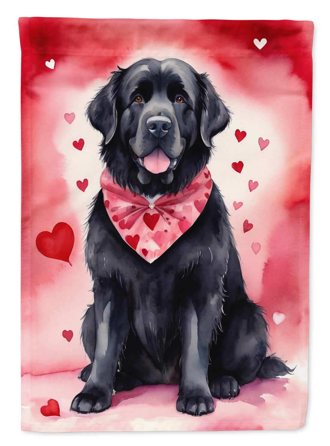 Buy this Newfoundland My Valentine House Flag