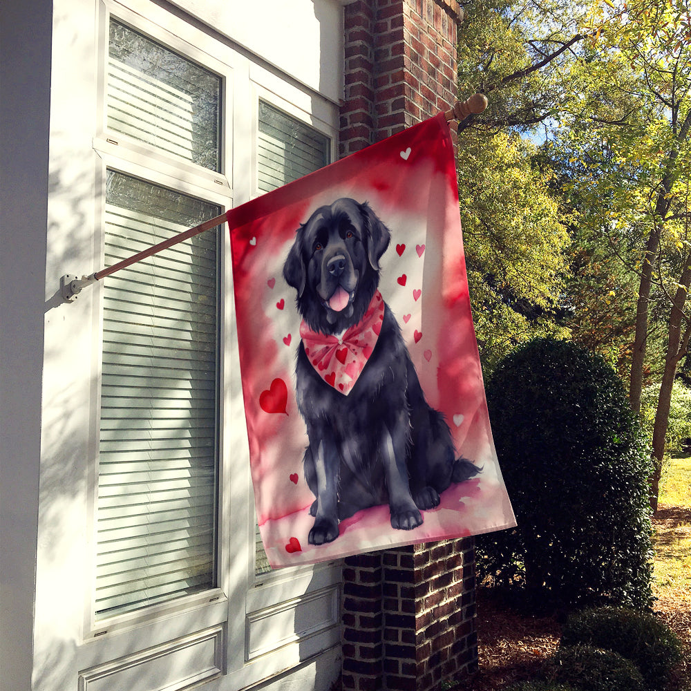 Newfoundland My Valentine House Flag