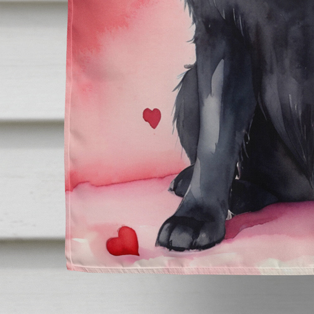 Newfoundland My Valentine House Flag