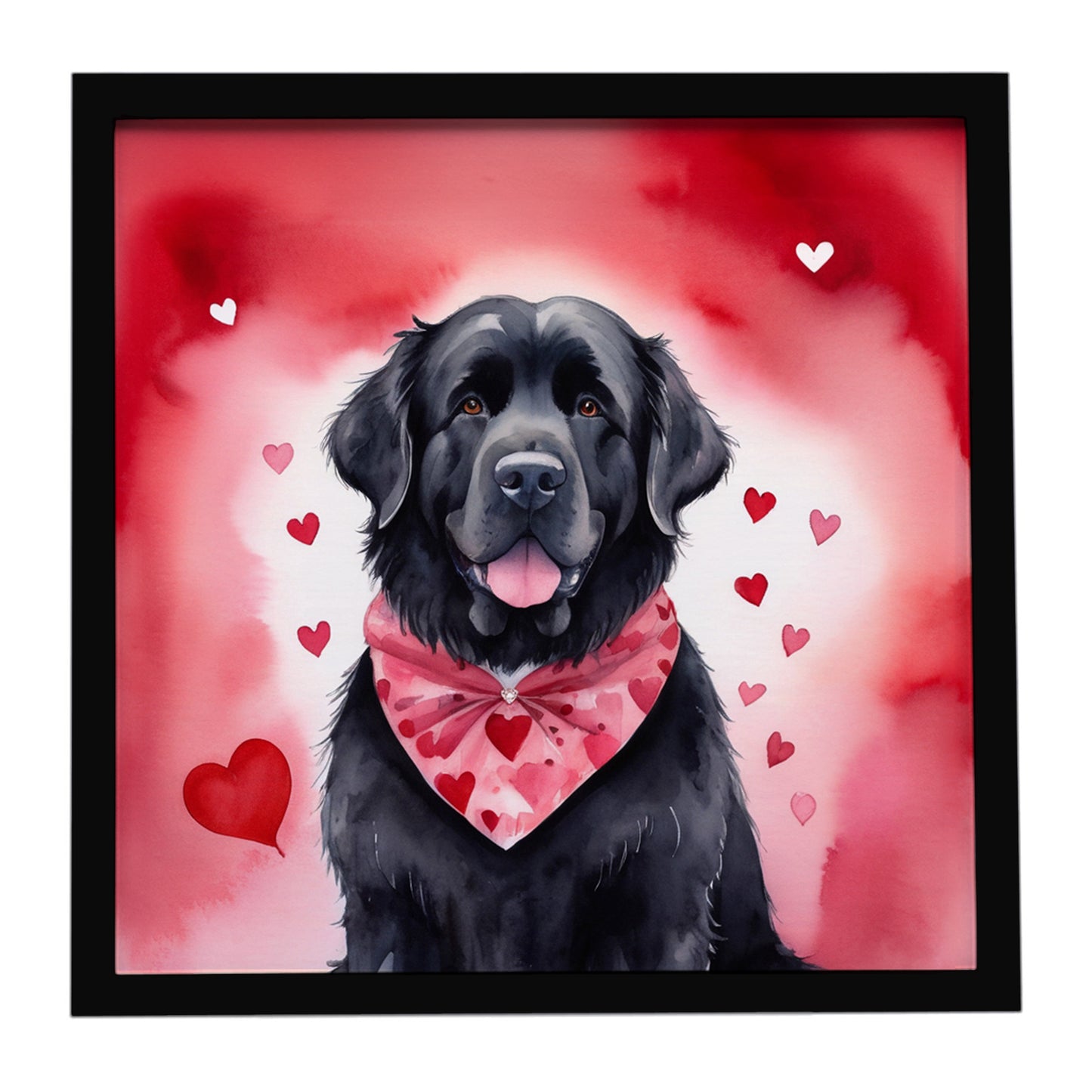 Buy this Newfoundland My Valentine Framed Metal Print