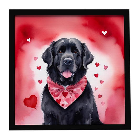 Buy this Newfoundland My Valentine Framed Metal Print
