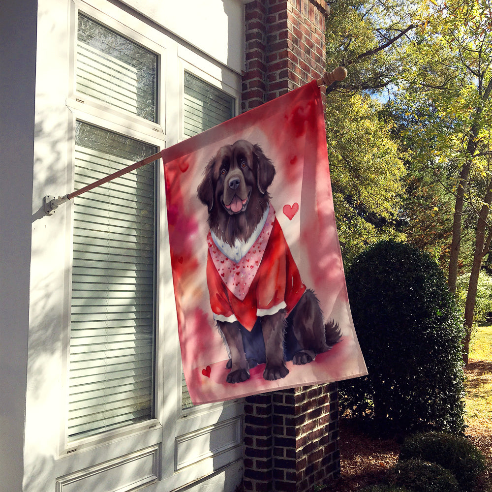 Newfoundland My Valentine House Flag