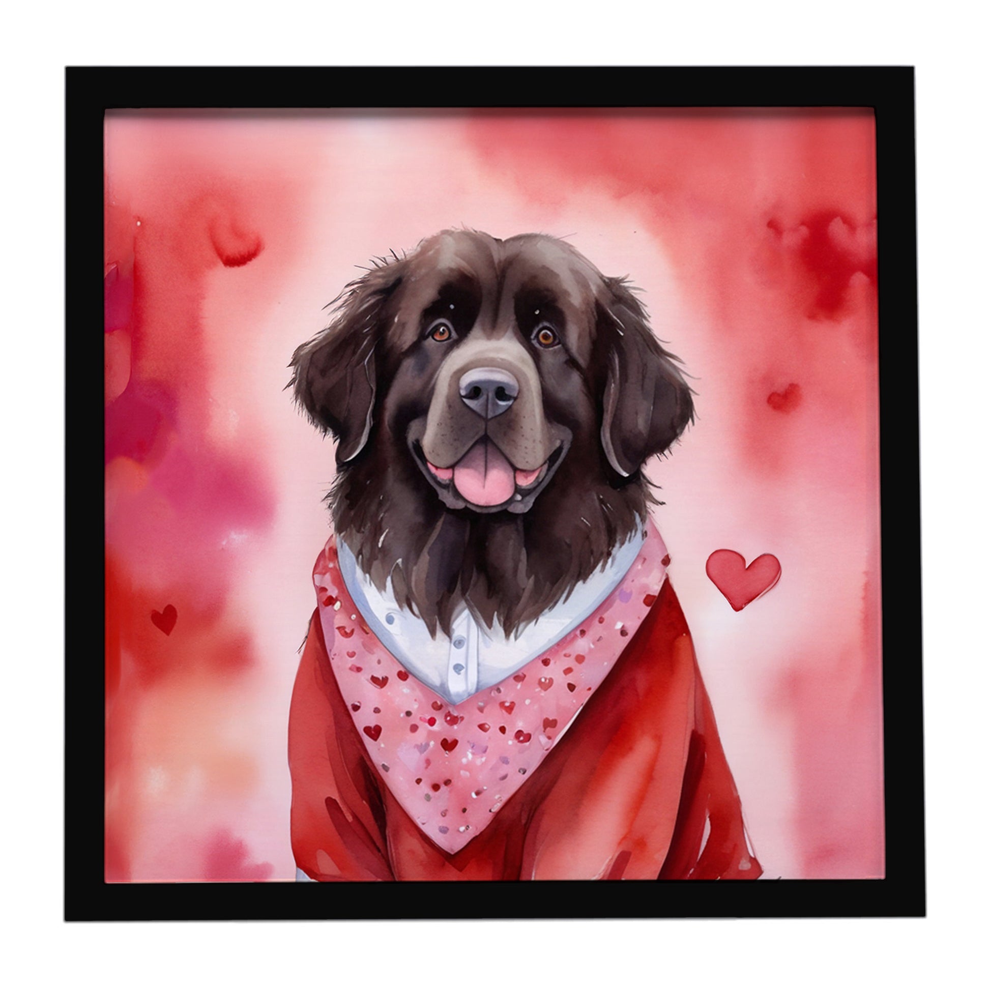 Buy this Newfoundland My Valentine Framed Metal Print