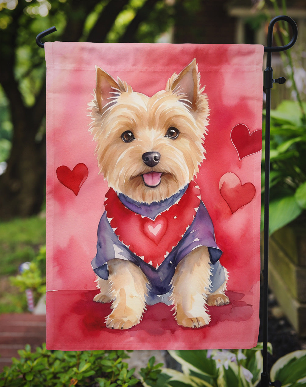 Norwich Terrier My Valentine Garden Flag