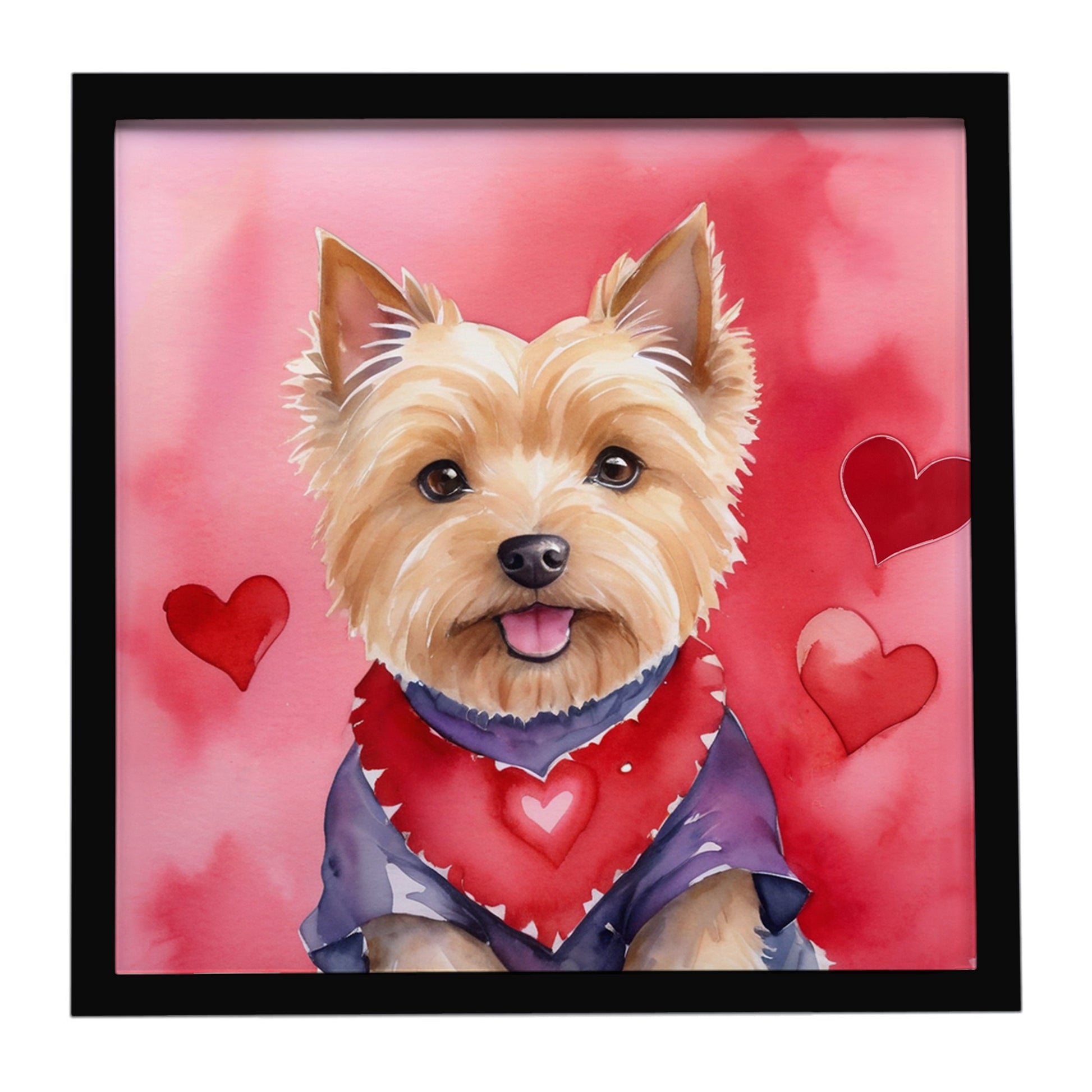 Buy this Norwich Terrier My Valentine Framed Metal Print