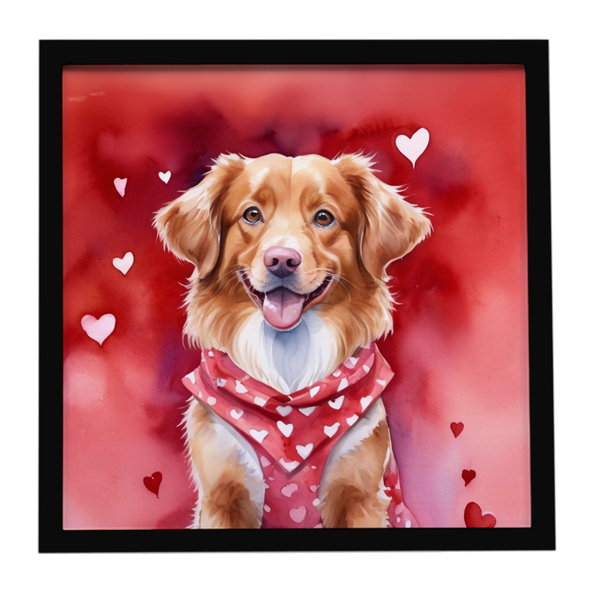 Buy this Nova Scotia Duck Tolling Retriever My Valentine Framed Metal Print