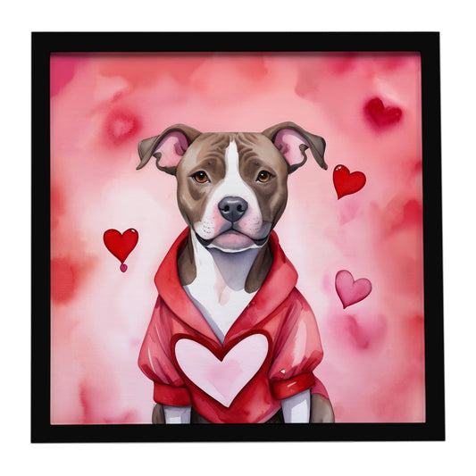 Buy this Pit Bull Terrier My Valentine Framed Metal Print