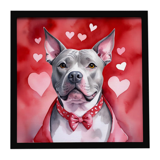 Buy this Pit Bull Terrier My Valentine Framed Metal Print