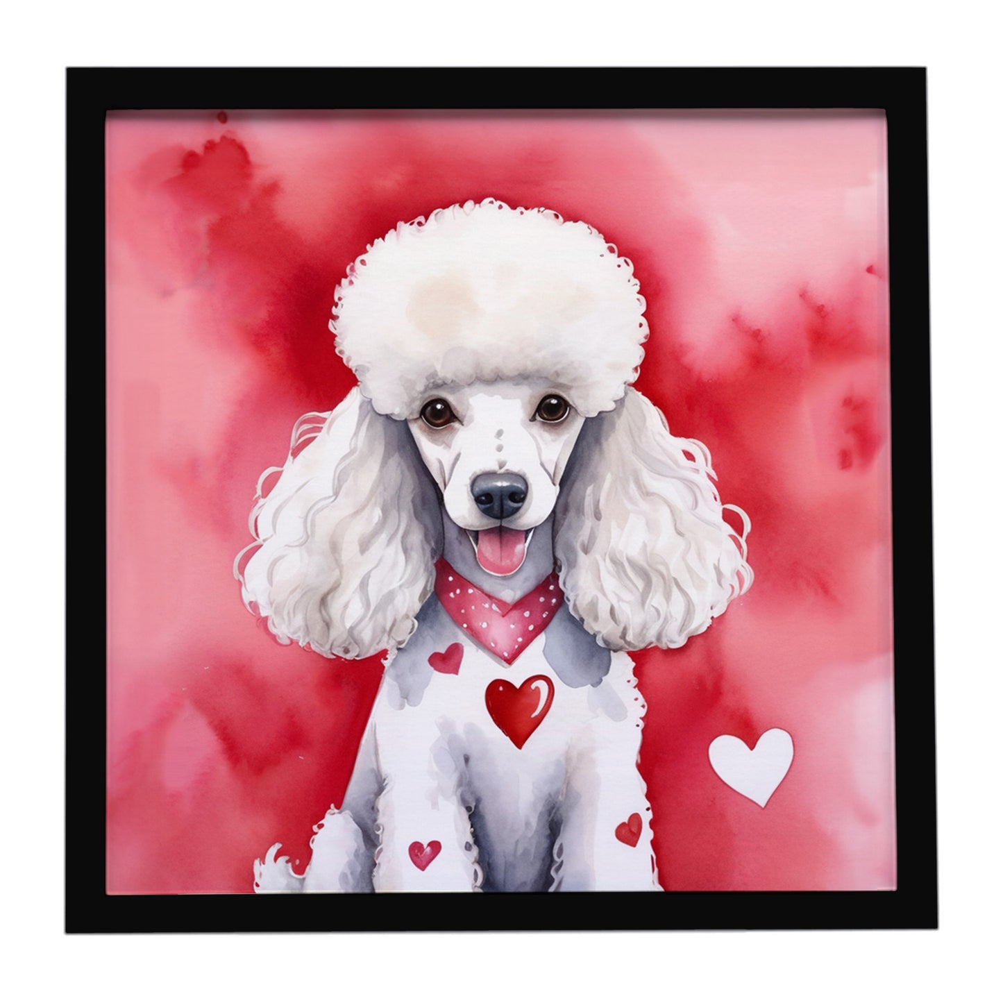 Buy this White Poodle My Valentine Framed Metal Print