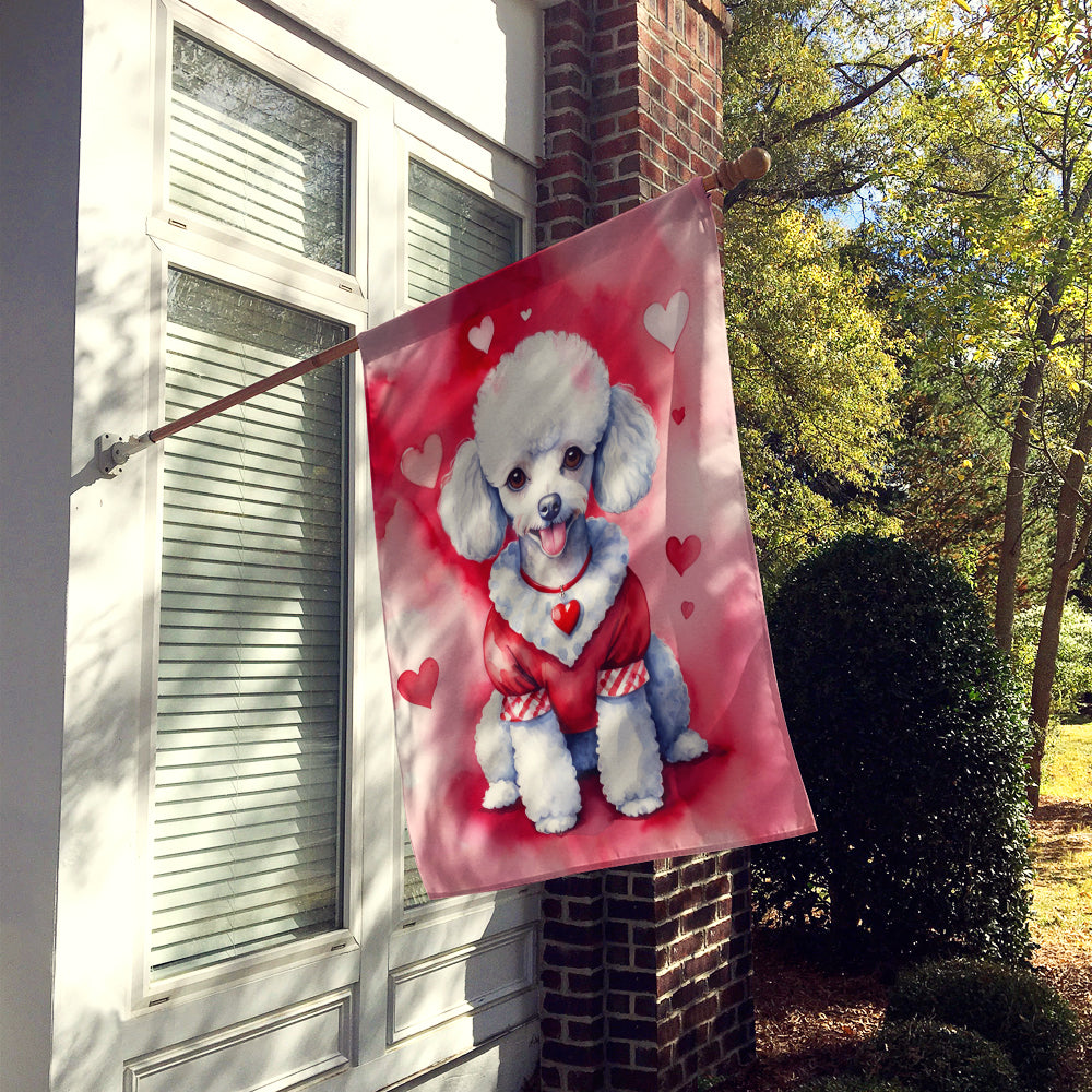 White Poodle My Valentine House Flag