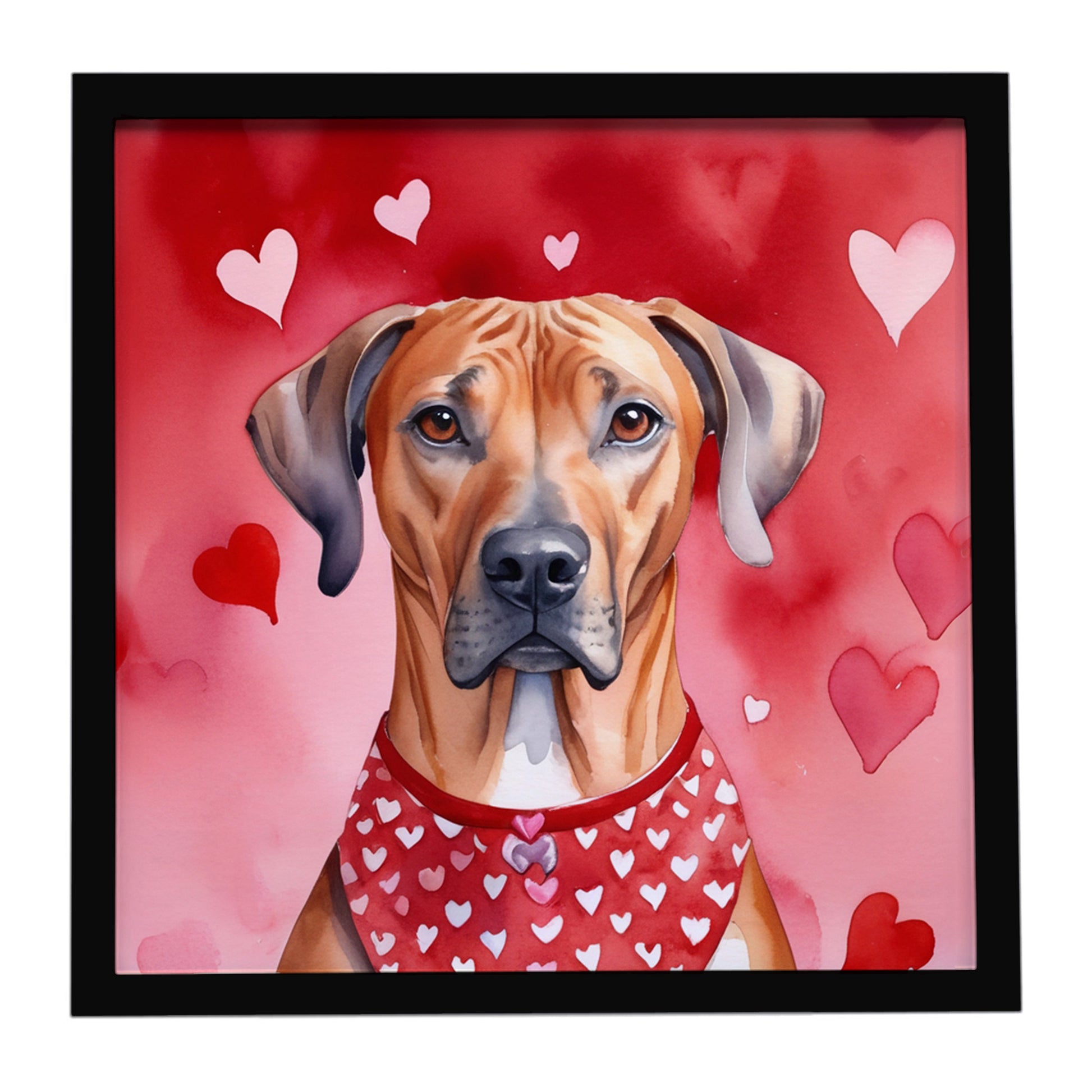 Buy this Rhodesian Ridgeback My Valentine Framed Metal Print