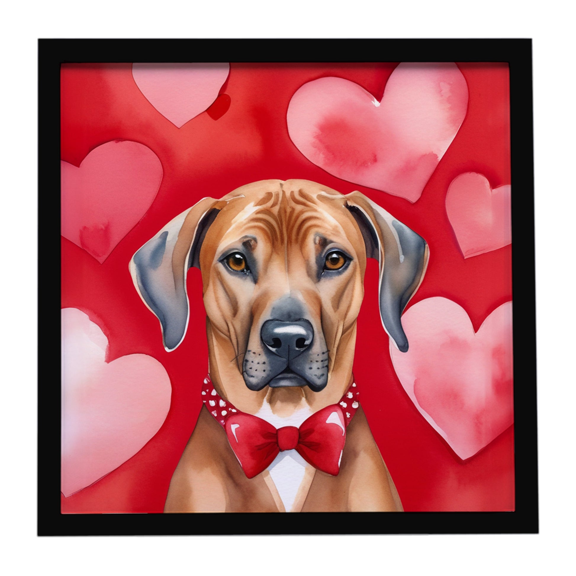 Buy this Rhodesian Ridgeback My Valentine Framed Metal Print