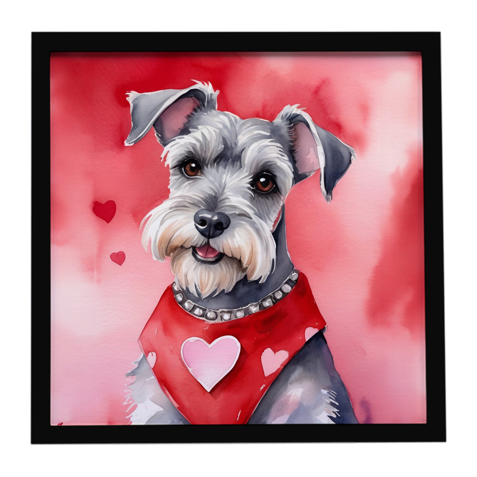 Buy this Schnauzer My Valentine Framed Metal Print