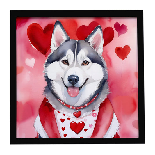 Buy this Siberian Husky My Valentine Framed Metal Print