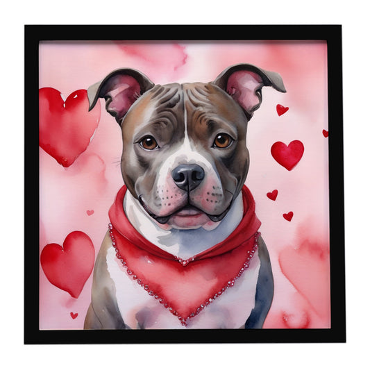 Buy this Staffordshire Bull Terrier My Valentine Framed Metal Print