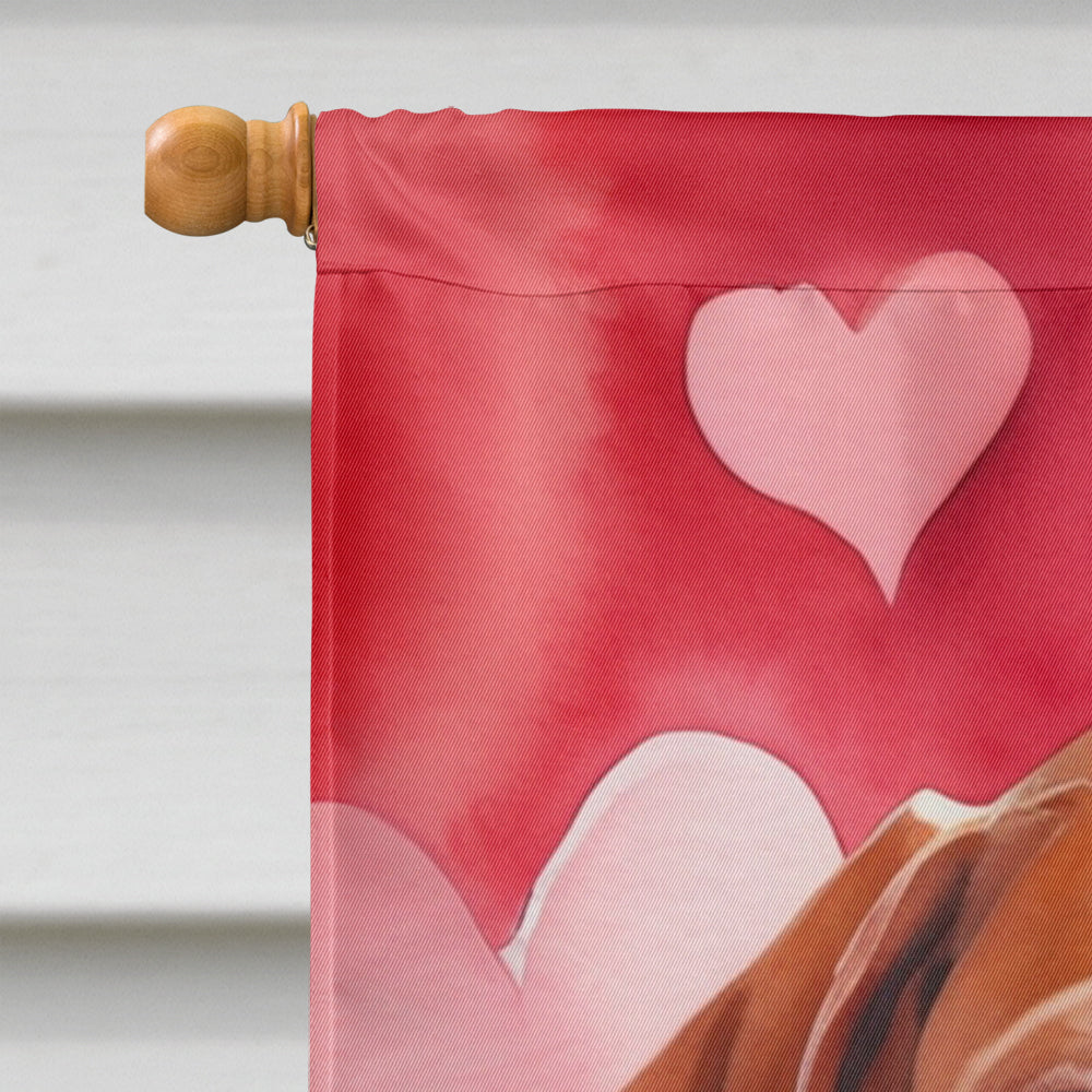 Vizsla My Valentine House Flag