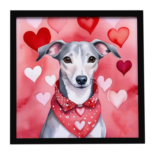 Buy this Whippet My Valentine Framed Metal Print