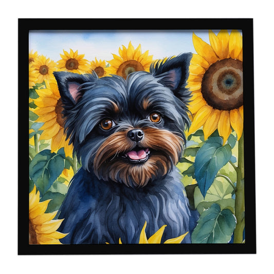 Buy this Affenpinscher in Sunflowers Framed Metal Print