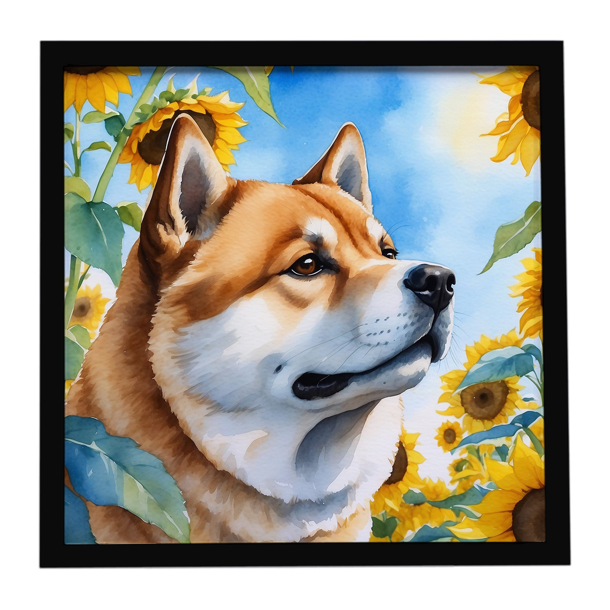 Buy this Akita in Sunflowers Framed Metal Print