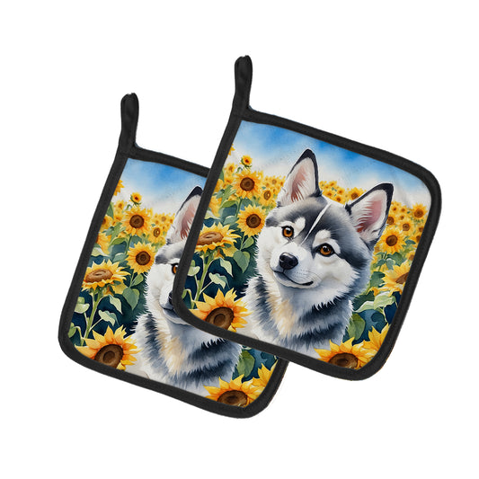 Buy this Alaskan Klee Kai in Sunflowers Pair of Pot Holders