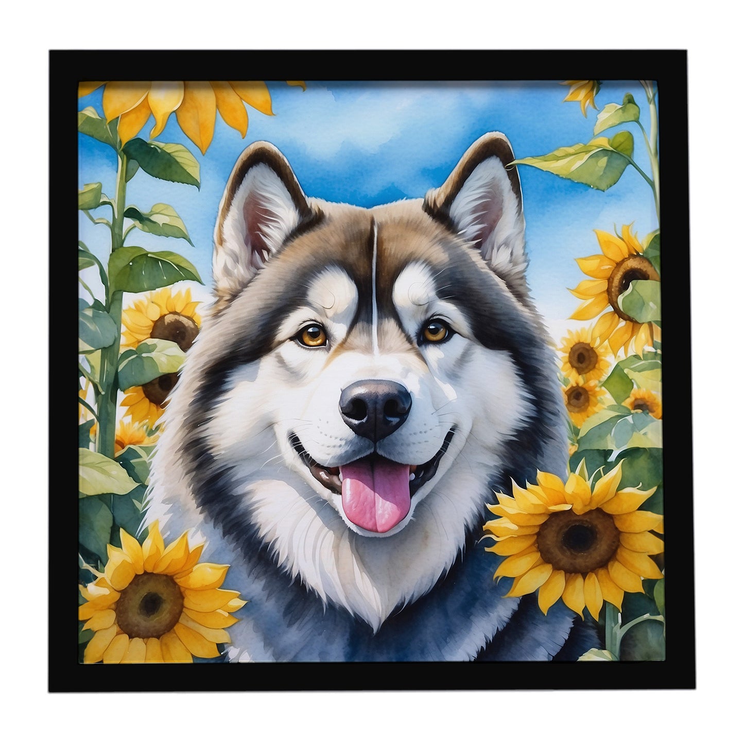 Buy this Alaskan Malamute in Sunflowers Framed Metal Print