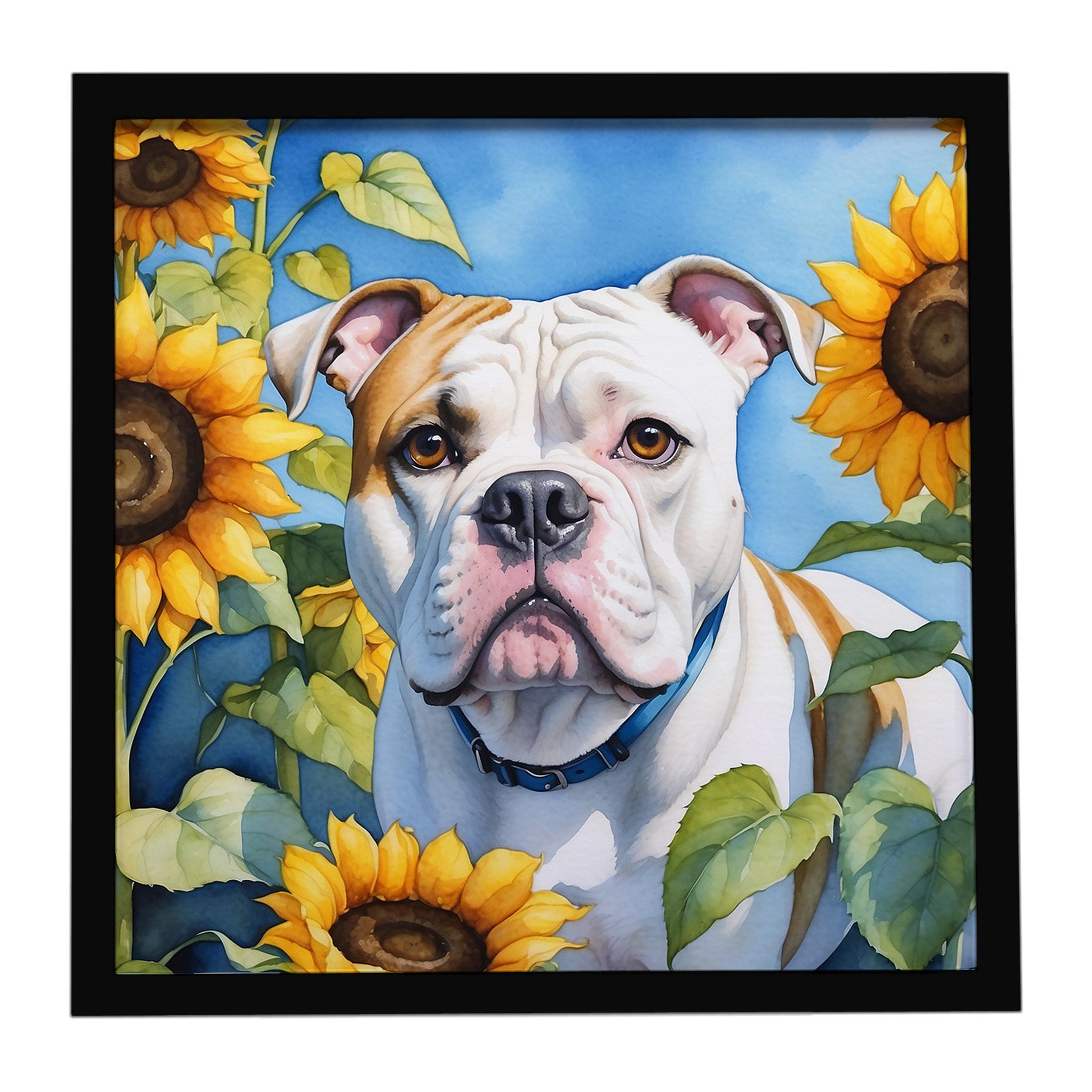 Buy this American Bulldog in Sunflowers Framed Metal Print
