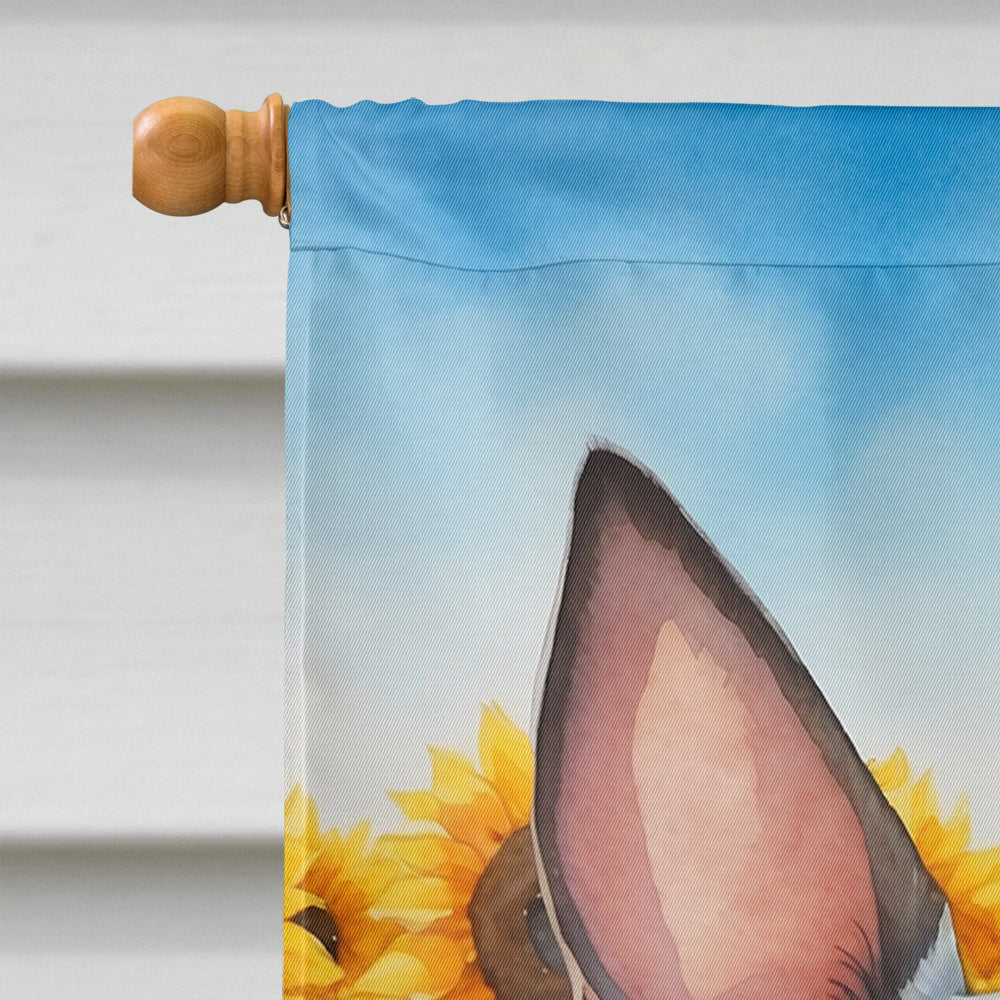 American Hairless Terrier in Sunflowers House Flag