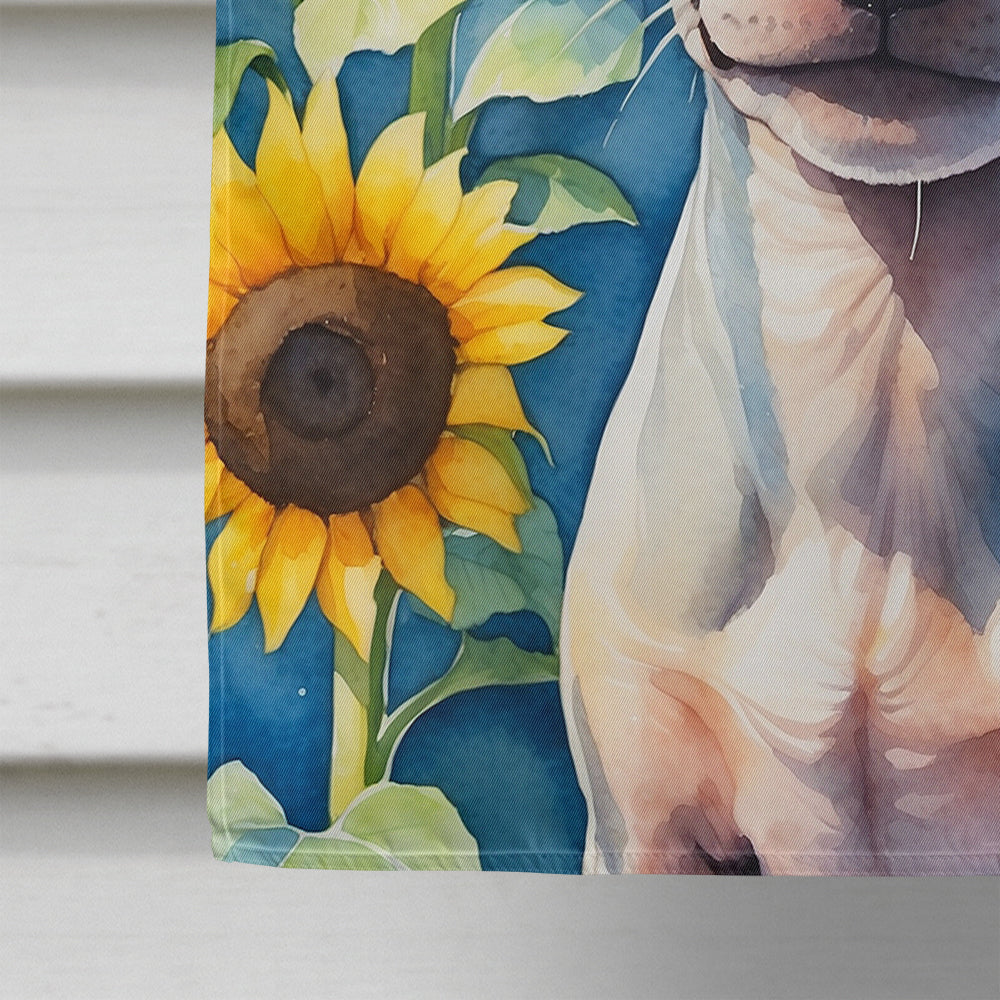 American Hairless Terrier in Sunflowers House Flag