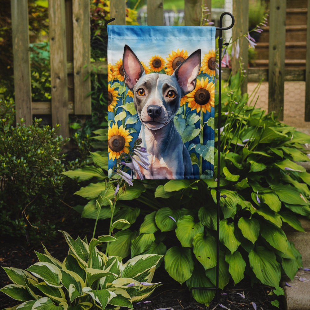 American Hairless Terrier in Sunflowers Garden Flag