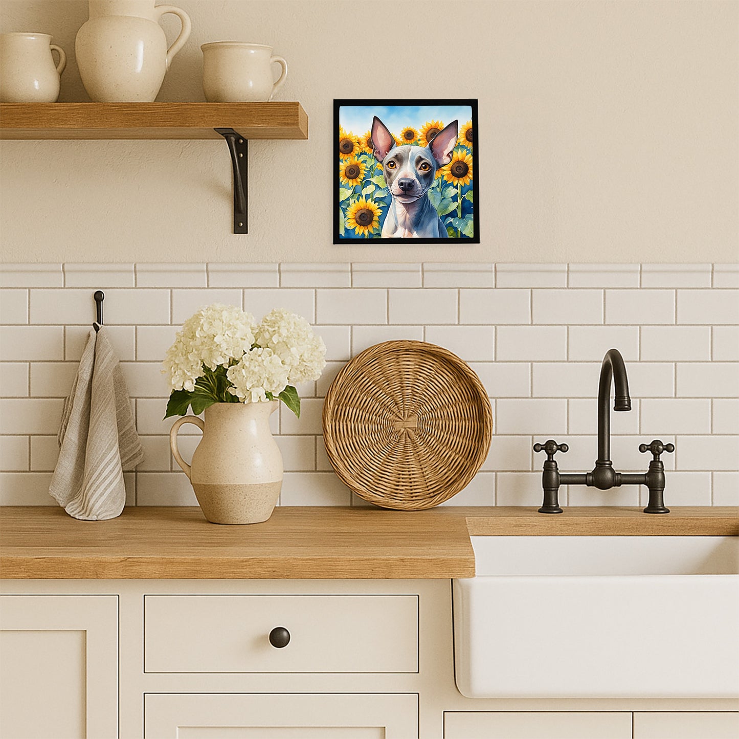 American Hairless Terrier in Sunflowers Framed Metal Print