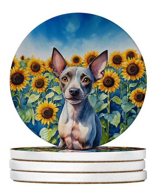 Buy this American Hairless Terrier in Sunflowers Large Sandstone Coasters Pack of 4