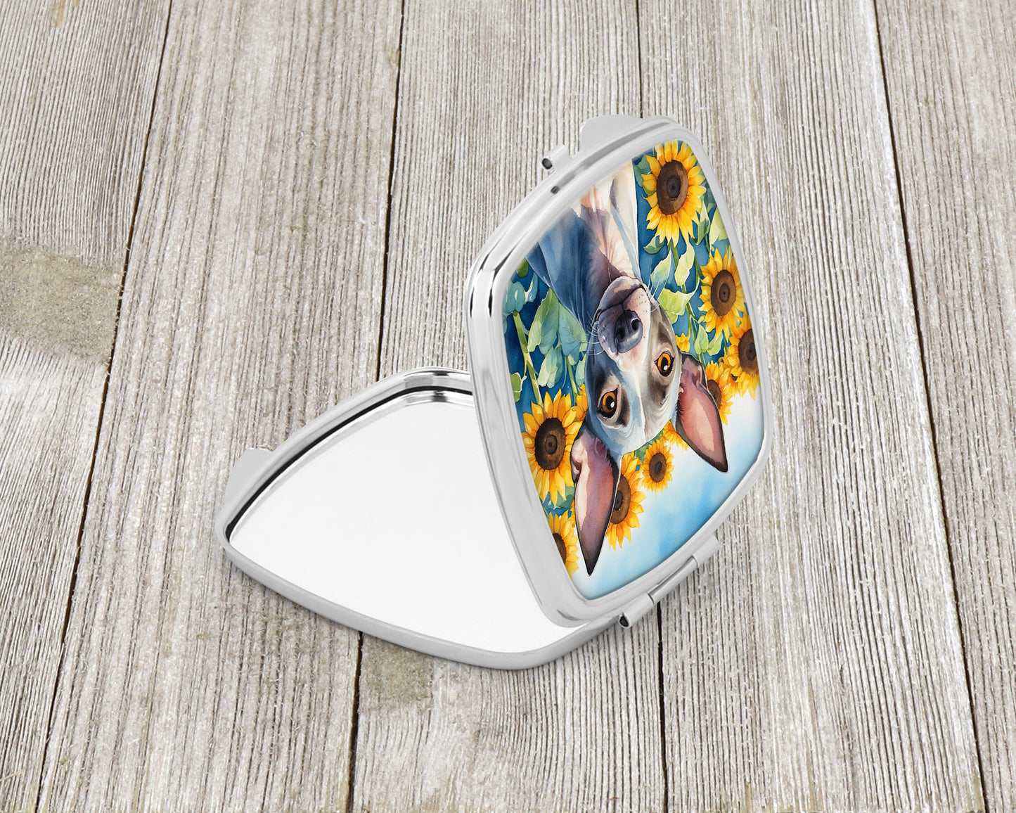 American Hairless Terrier in Sunflowers Compact Mirror