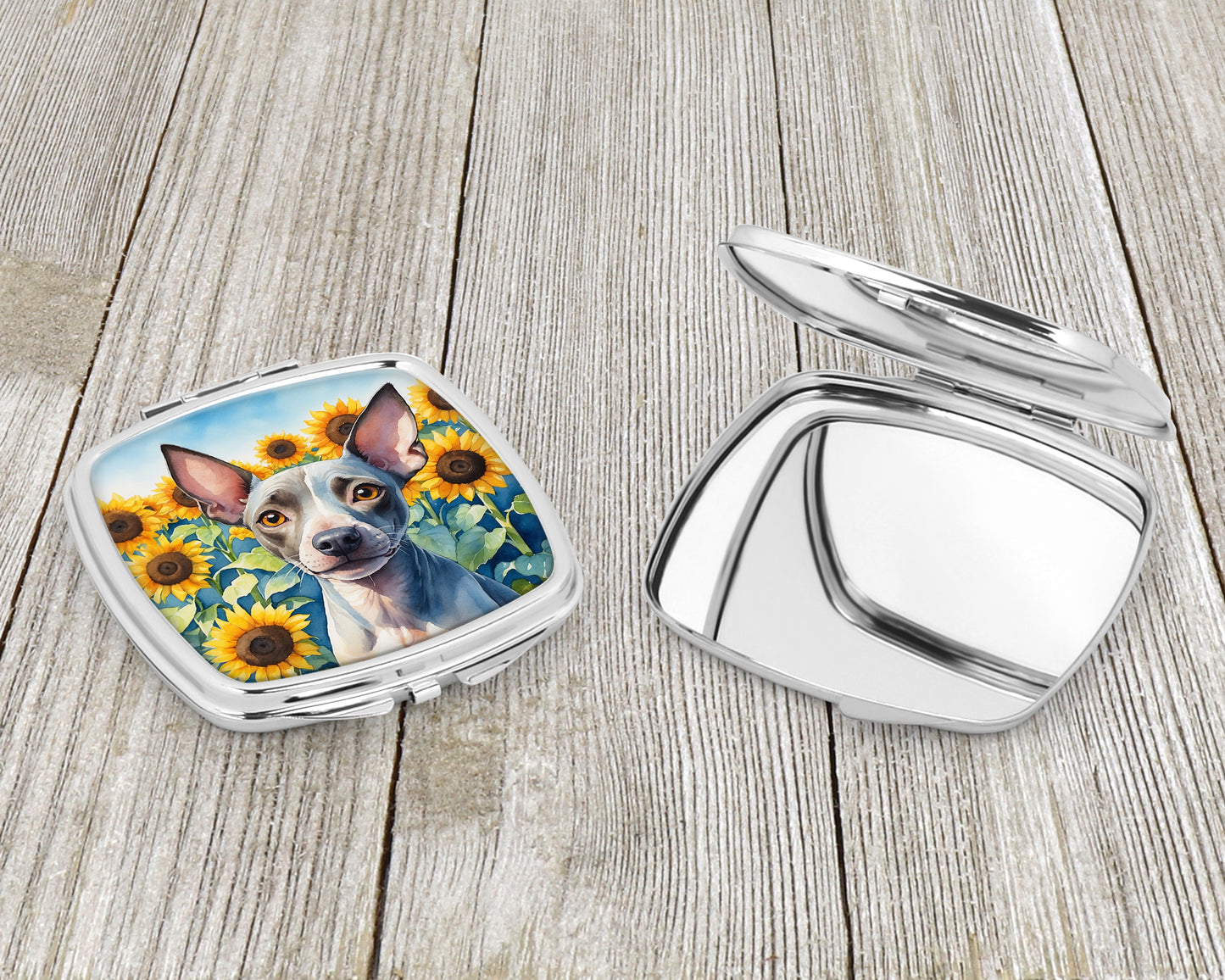 American Hairless Terrier in Sunflowers Compact Mirror