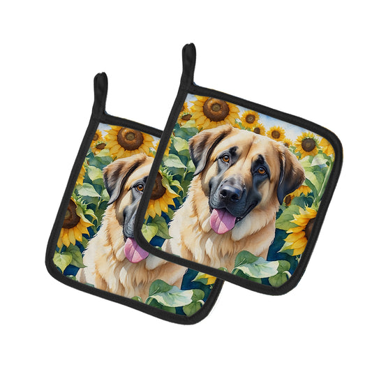 Buy this Anatolian Shepherd in Sunflowers Pair of Pot Holders