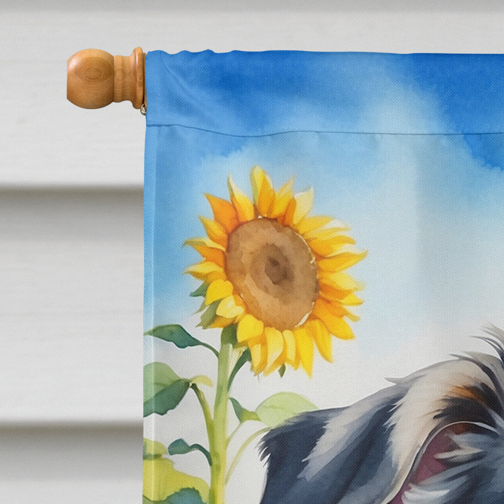 Australian Shepherd in Sunflowers House Flag