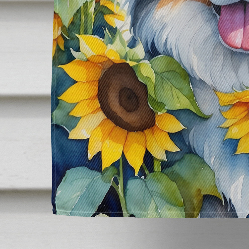 Australian Shepherd in Sunflowers House Flag