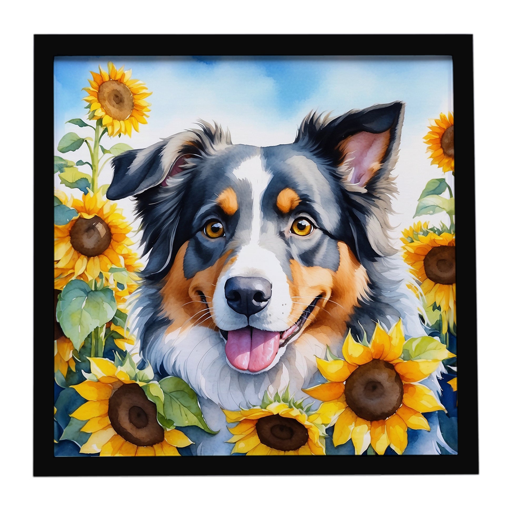 Buy this Australian Shepherd in Sunflowers Framed Metal Print