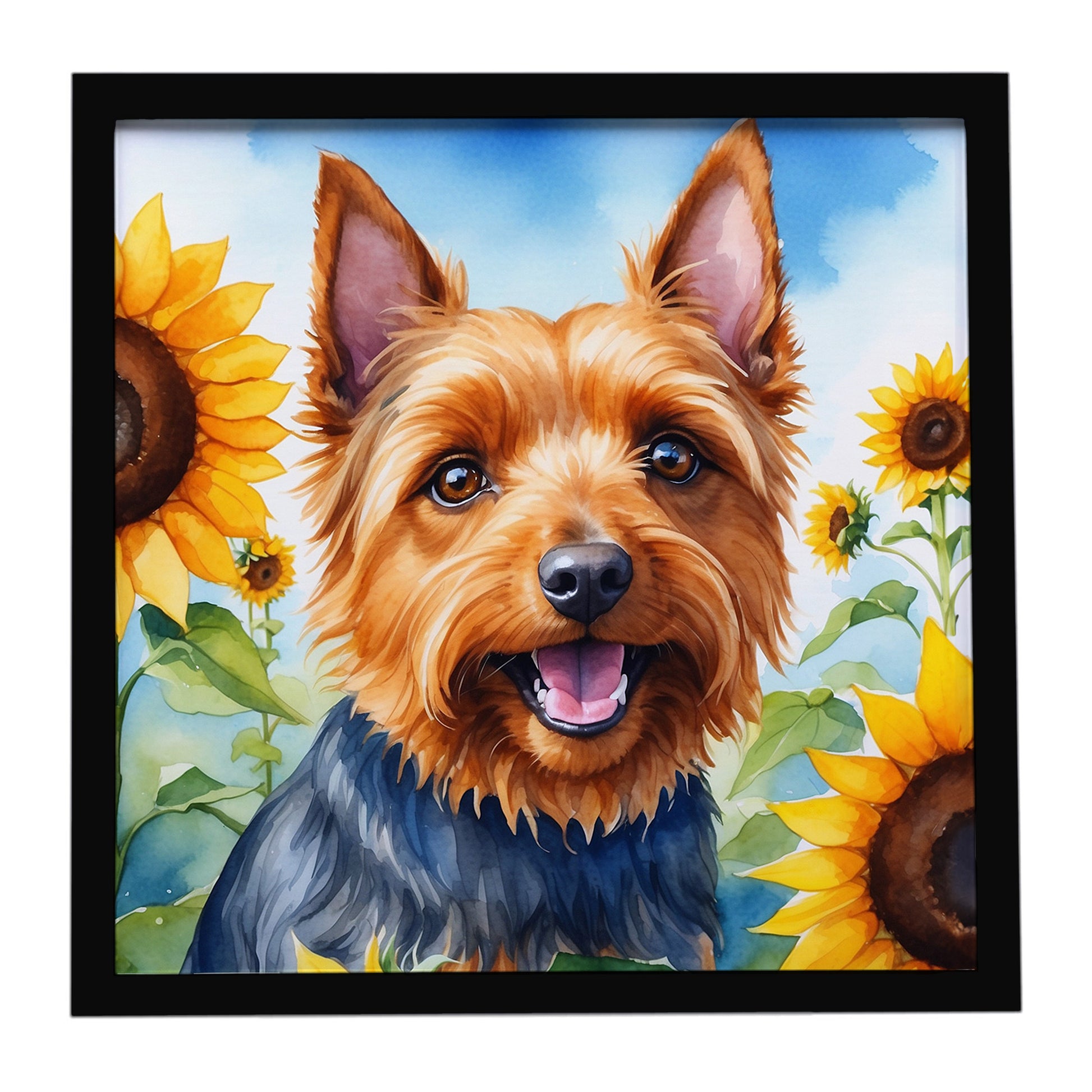 Buy this Australian Terrier in Sunflowers Framed Metal Print