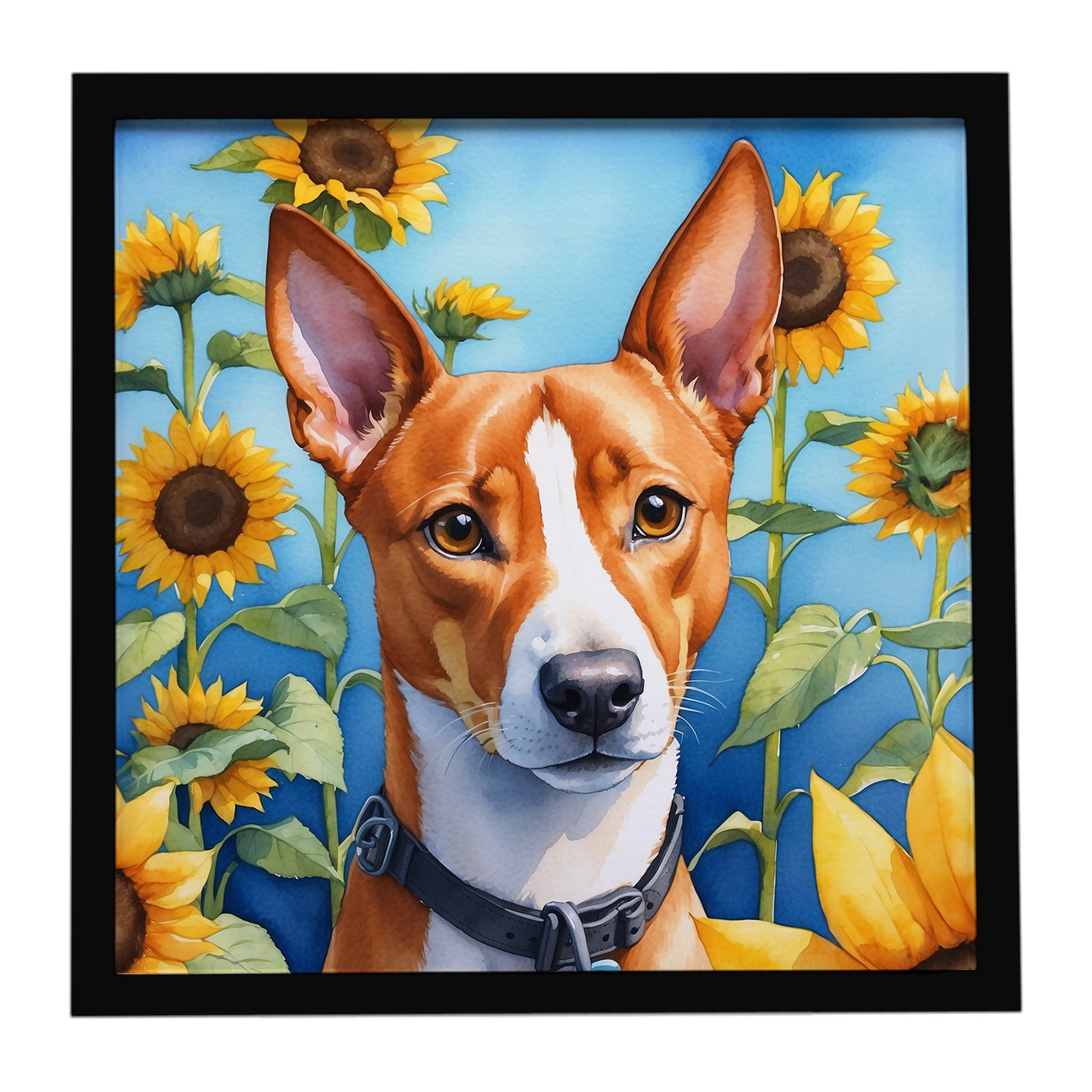 Buy this Basenji in Sunflowers Framed Metal Print