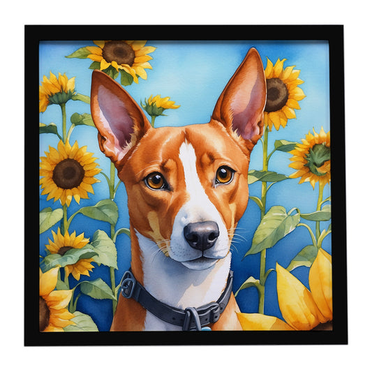 Buy this Basenji in Sunflowers Framed Metal Print