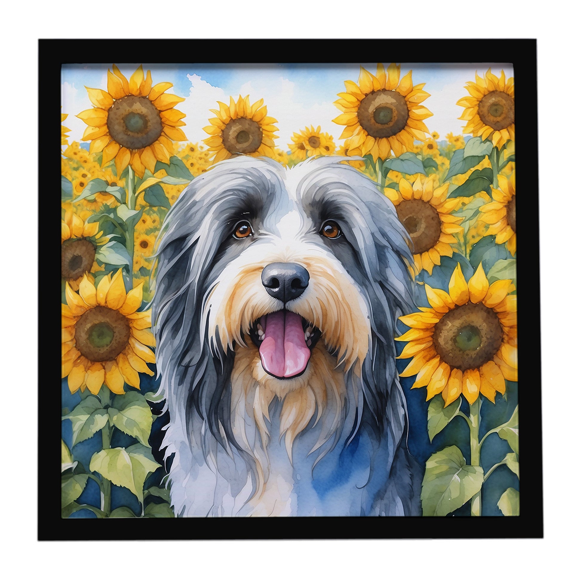 Buy this Bearded Collie in Sunflowers Framed Metal Print