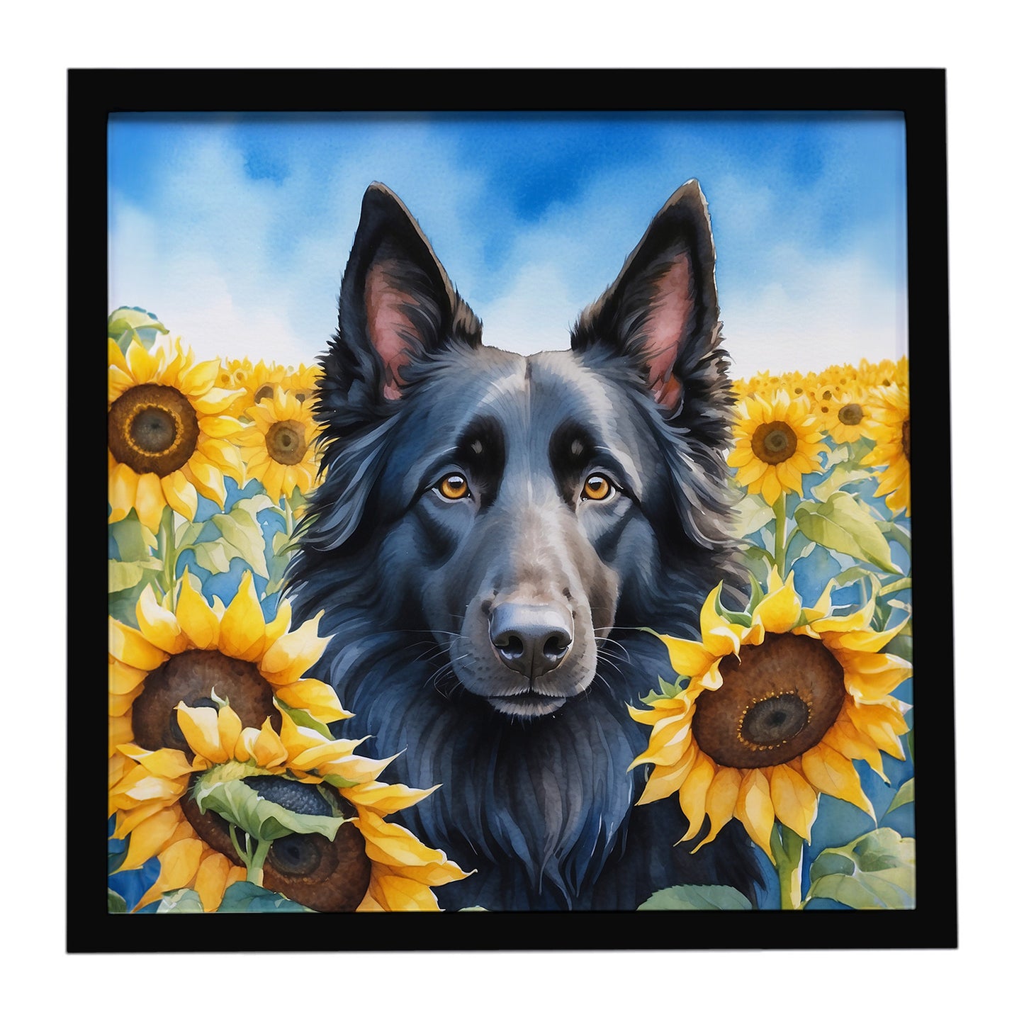 Buy this Belgian Sheepdog in Sunflowers Framed Metal Print