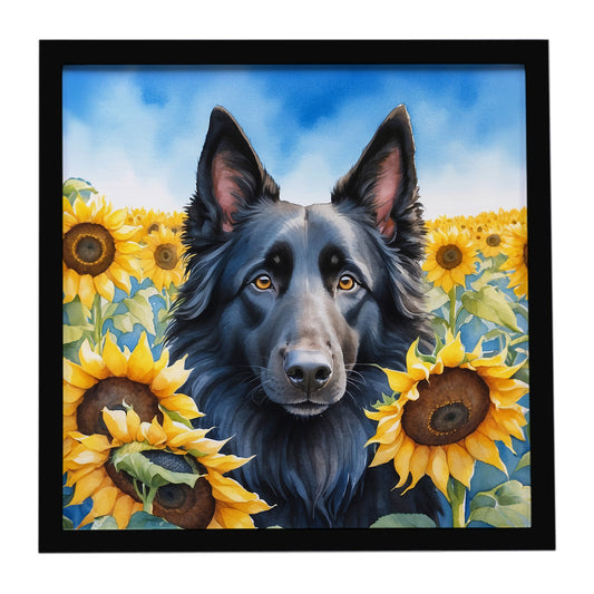 Buy this Belgian Sheepdog in Sunflowers Framed Metal Print