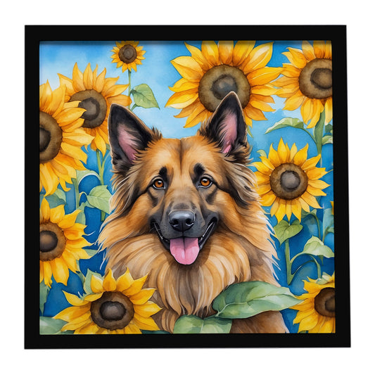 Buy this Belgian Tervuren in Sunflowers Framed Metal Print
